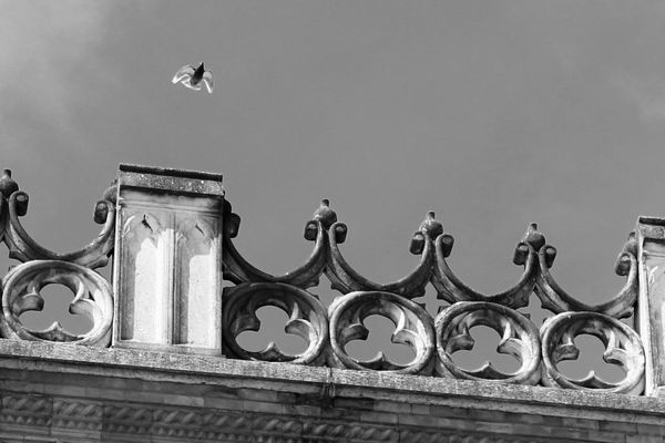 © Manca Klužar - Image from the Črno belo photography project