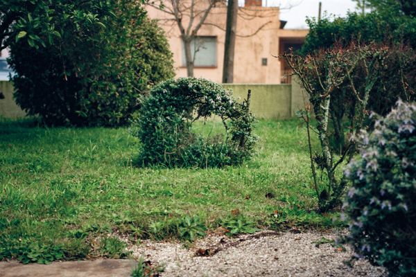 © Juan Pablo Tristán - Image from the Lezama photography project