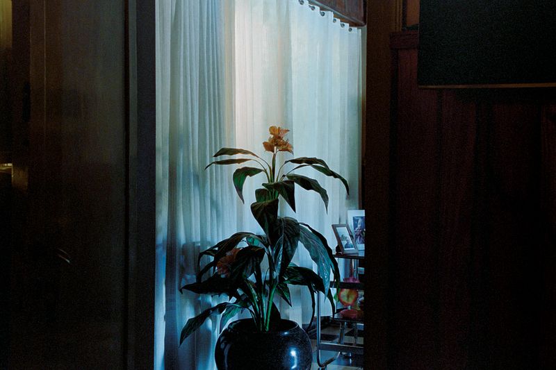 © Juan Pablo Tristán - Image from the Lezama photography project