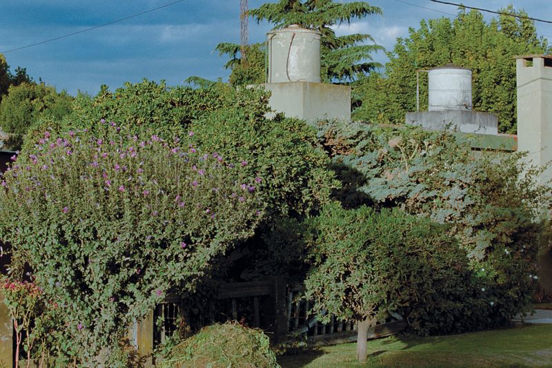 © Juan Pablo Tristán - Image from the Lezama photography project