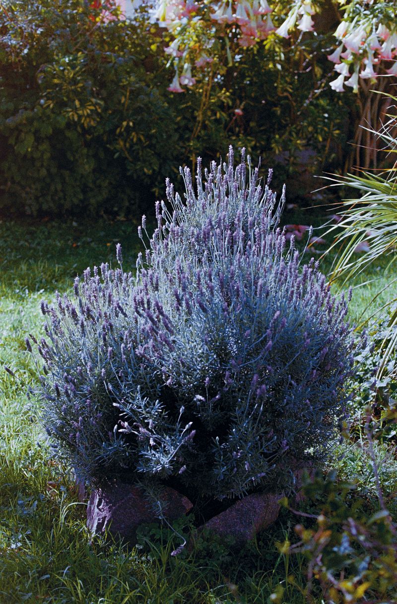 © Juan Pablo Tristán - Image from the Lezama photography project