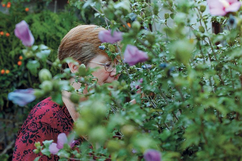 © Juan Pablo Tristán - Image from the Lezama photography project