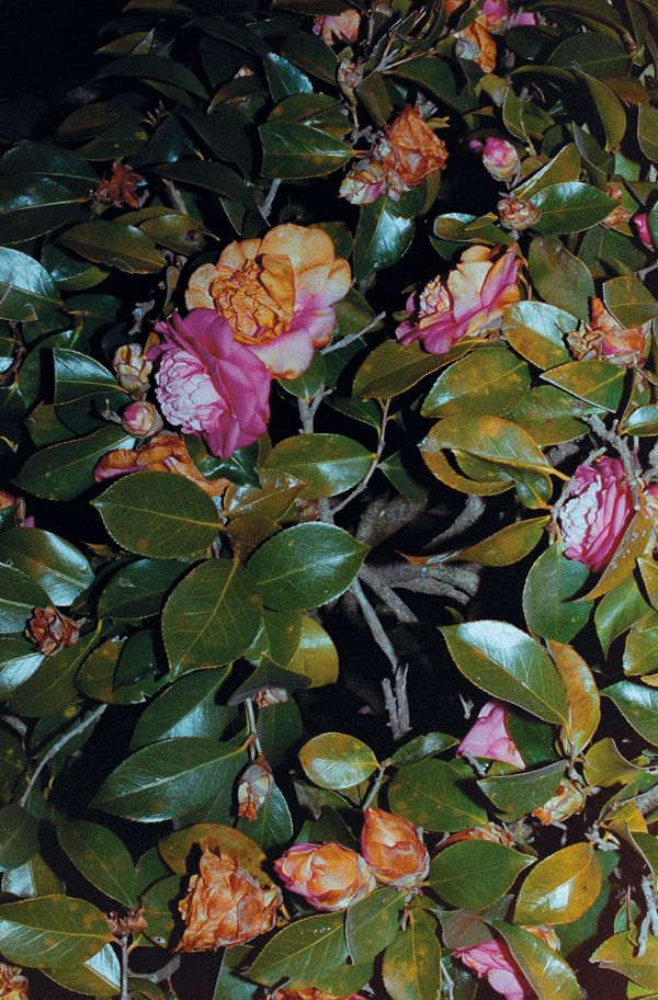 © Juan Pablo Tristán - Image from the Lezama photography project