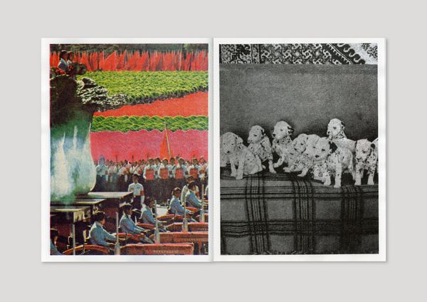 © Augure III by Rodrigue de Ferluc, published by Quintal