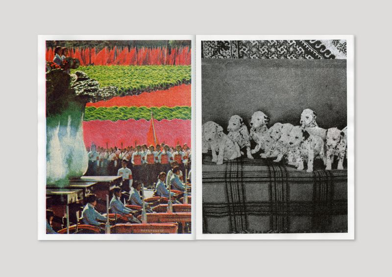© Augure III by Rodrigue de Ferluc, published by Quintal