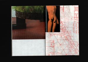 The Riso Book