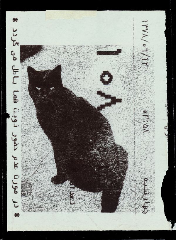 © Caro Mirzoyan, PhMuseum Days