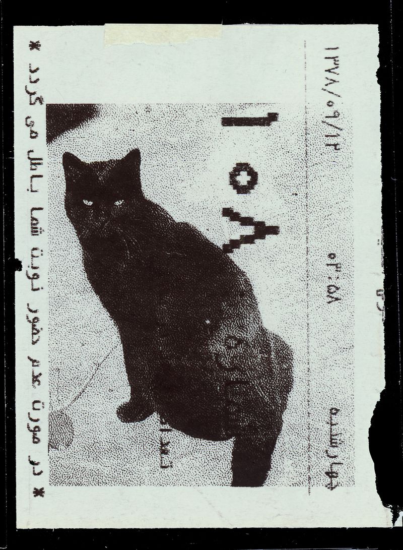 © Caro Mirzoyan, PhMuseum Days