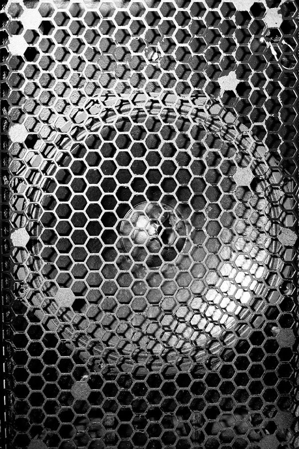 © Tommaso Palmieri