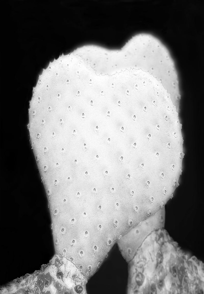 © Pat Bassington