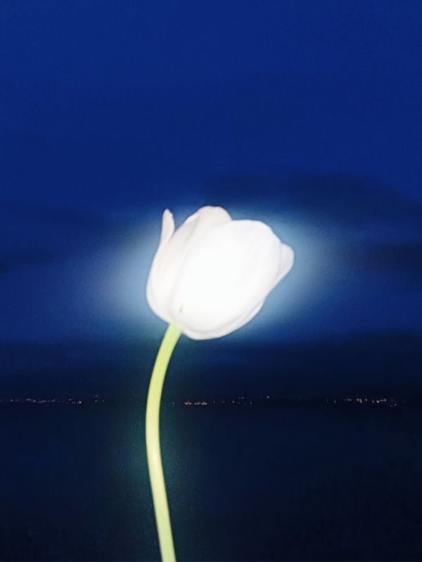 © Antigoni Papantoni