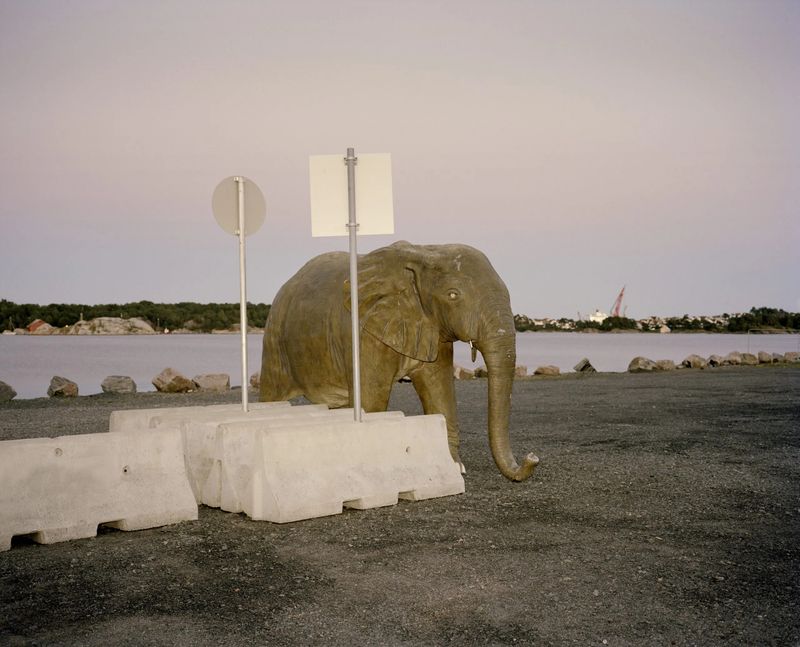 © Helge Skodvin