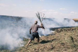 The Ian Parry Photojournalism Grant 2026
