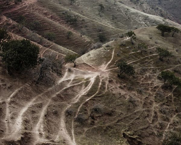 © Sputnik Photos Collective