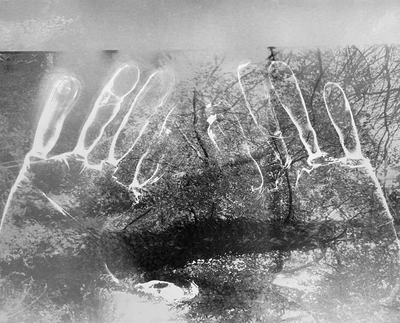 The Camera As A Listening Device: Tahereh Fallahzadeh’s Darkroom Practice Of Memory And Freedom