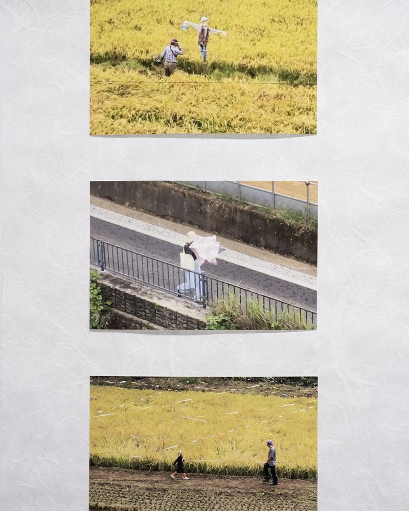 © PhMuseum