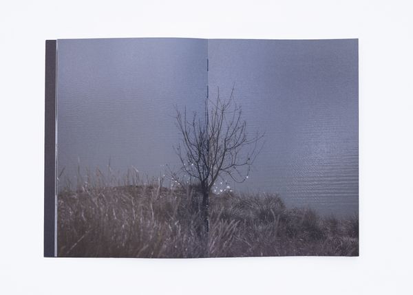Image from a project on PhMuseum