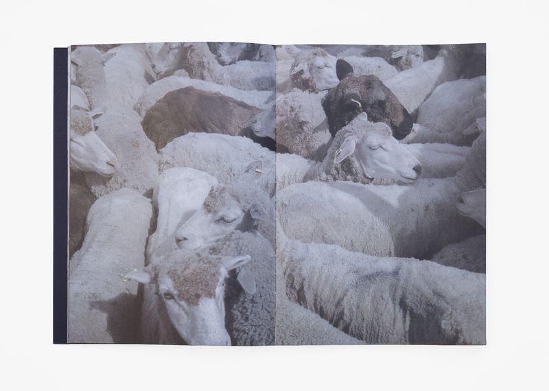 Image from a project on PhMuseum