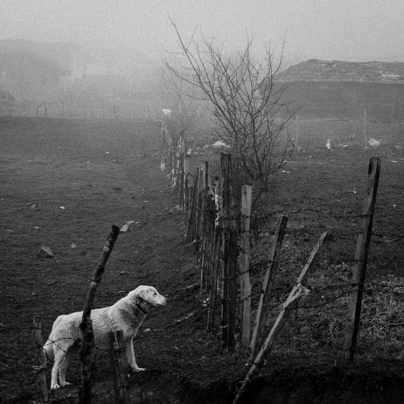 © Mohammad Oladivatan - Image from the What Remains Unseen photography project