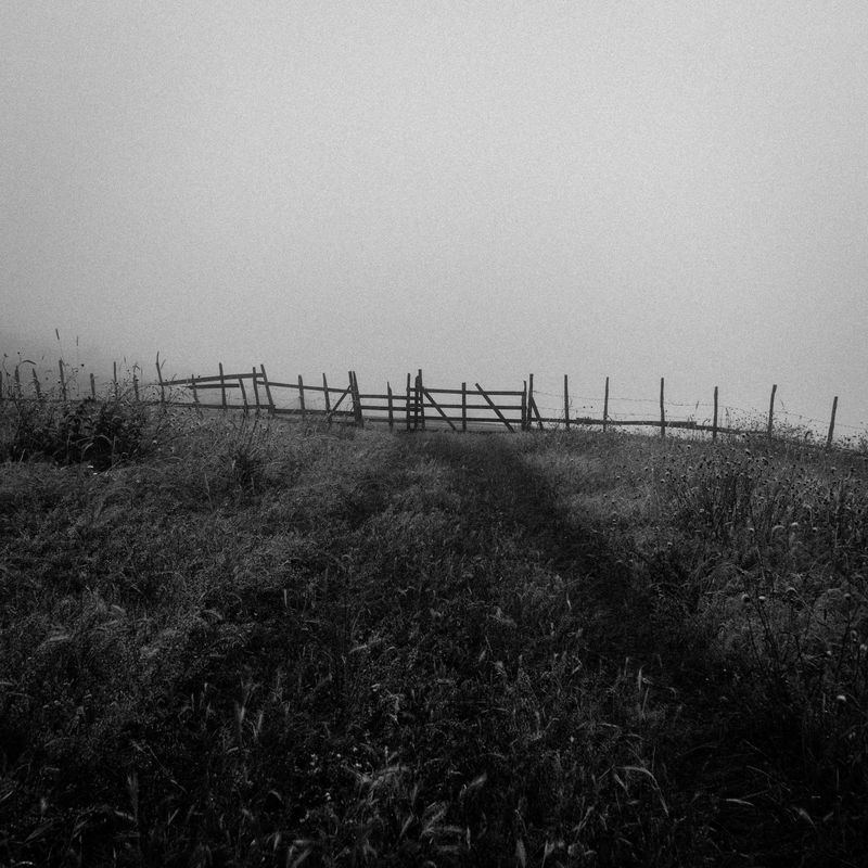© Mohammad Oladivatan - Image from the What Remains Unseen photography project