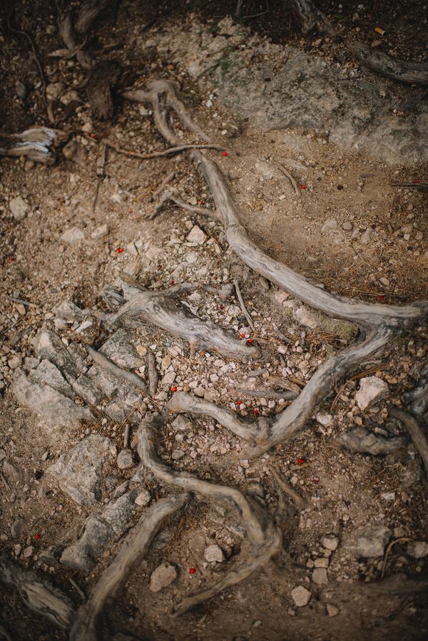 © XIMENA ETCHART - Image from the MOTHERLAND photography project