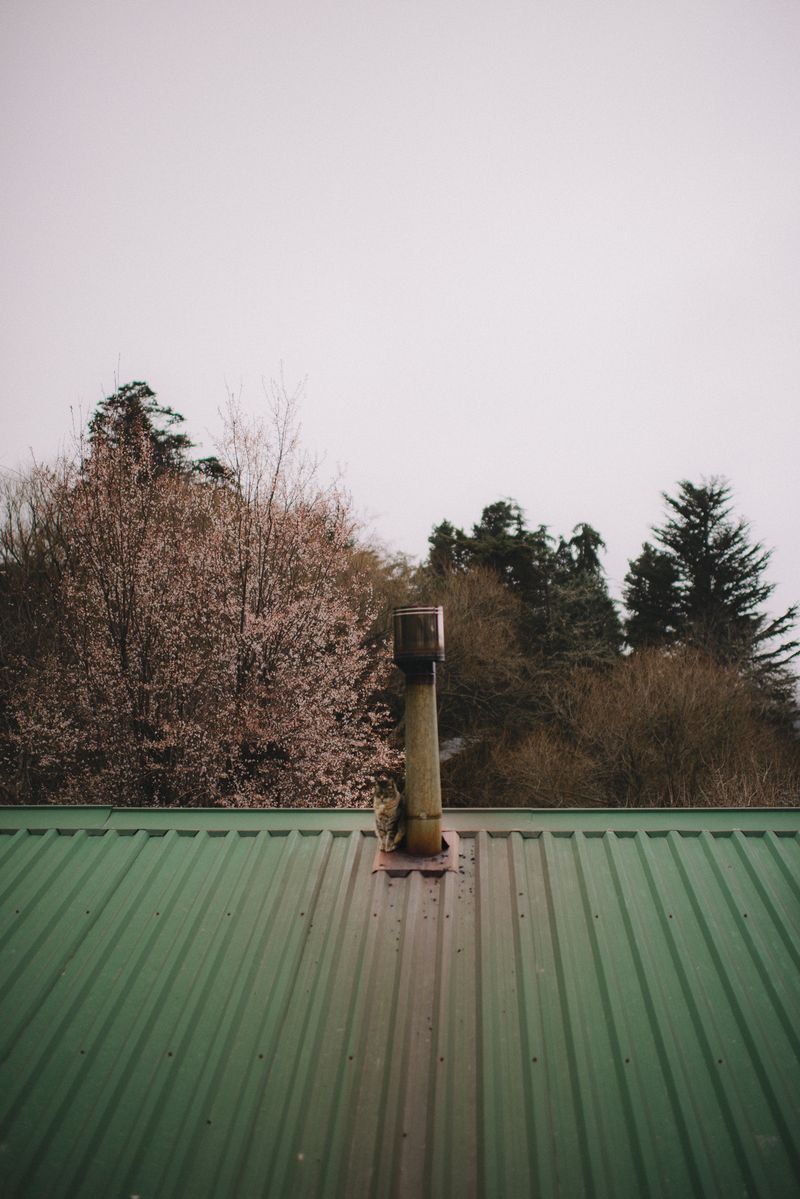 © XIMENA ETCHART - Image from the MOTHERLAND photography project