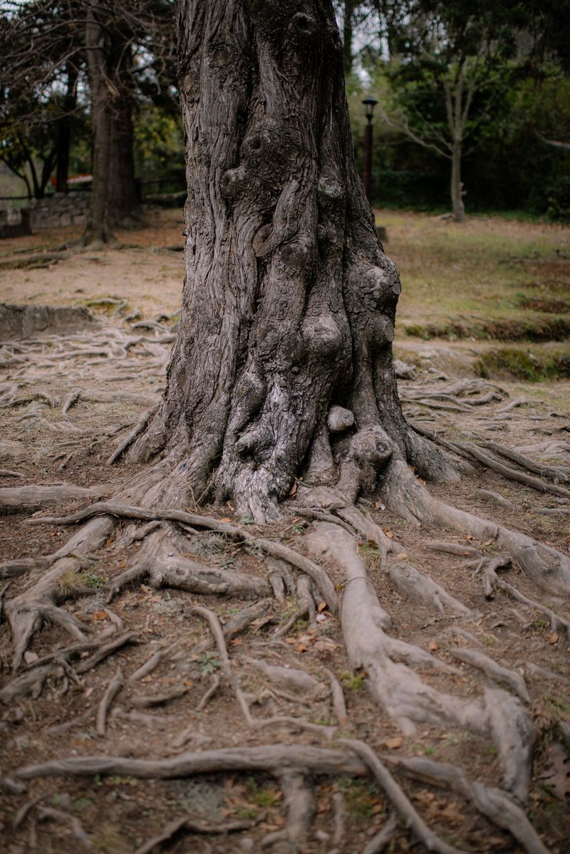 © XIMENA ETCHART - Image from the MOTHERLAND photography project