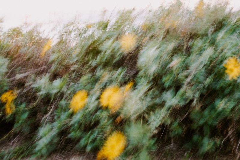 © XIMENA ETCHART - Image from the MOTHERLAND photography project