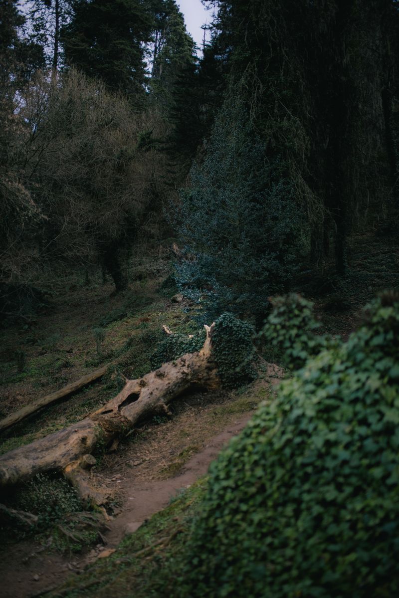 © XIMENA ETCHART - Image from the MOTHERLAND photography project