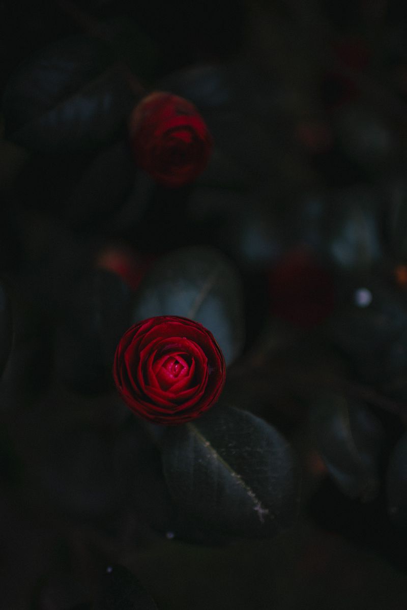 © XIMENA ETCHART - Image from the MOTHERLAND photography project