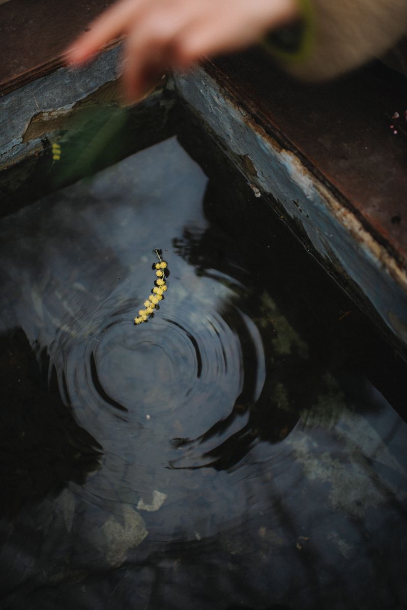 © XIMENA ETCHART - Image from the MOTHERLAND photography project