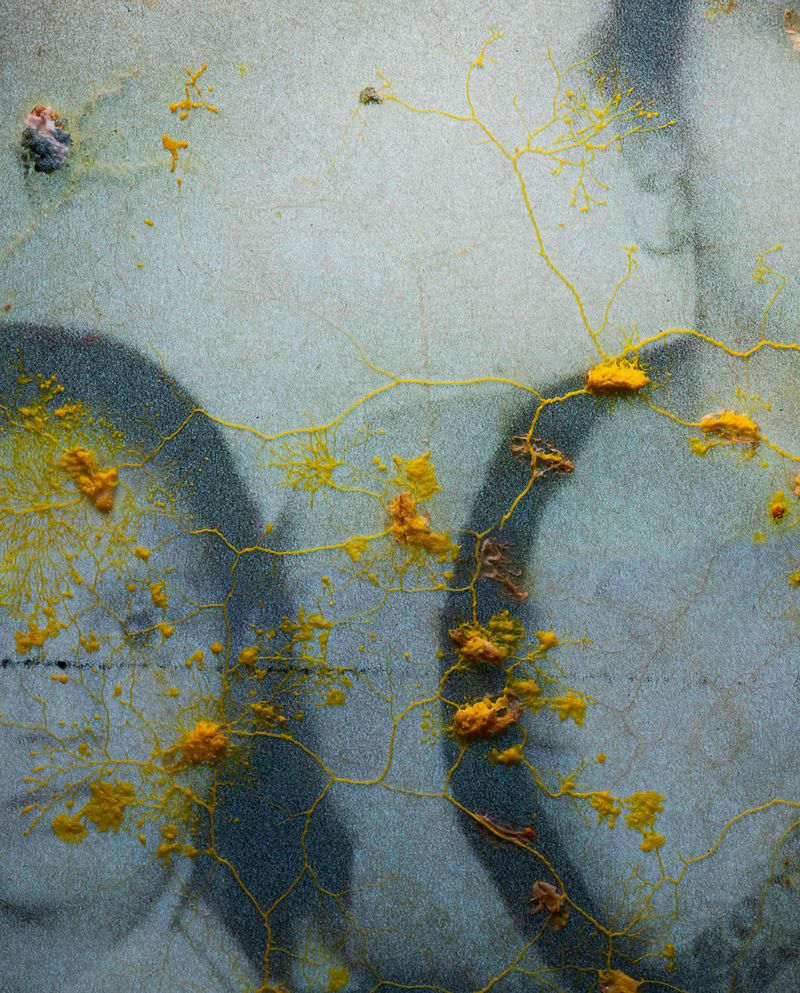 Kanishka - Wombs & Craters