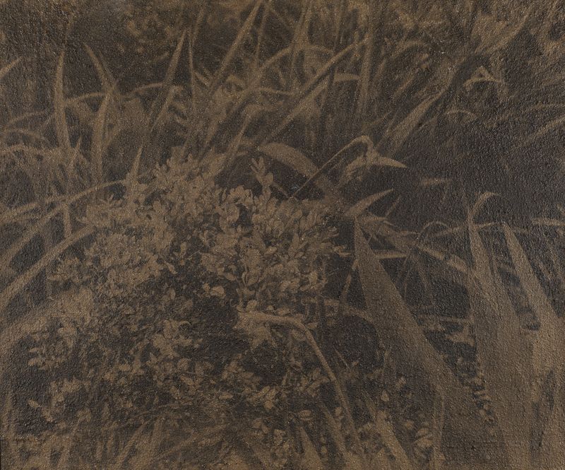 Vasudev - Of/With the Garden III