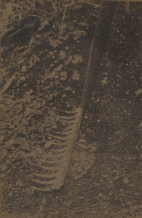 Vasudev - Of/With the Garden I