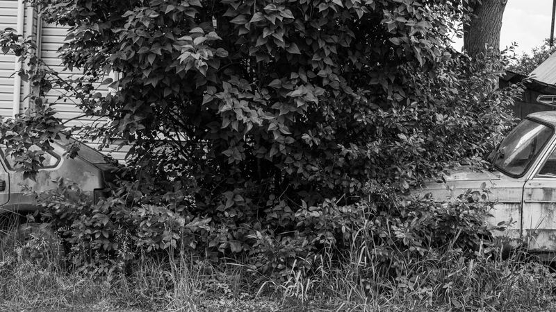 © Iris Maynard - Image from the Lost Metal Souls photography project
