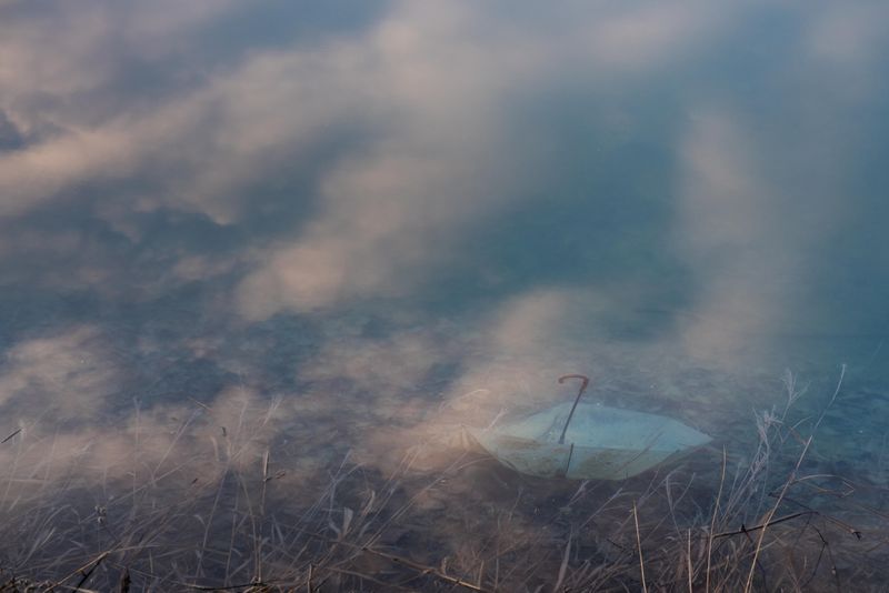 © Yongwook Lee - A sanctuary for paradox, where the unbelonging belong