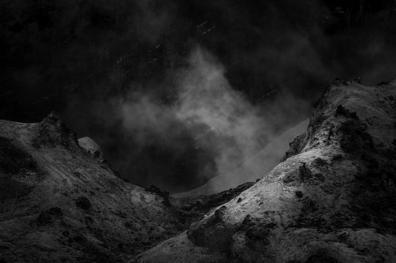 © Yongwook Lee - The forbidden, bleached and shattered