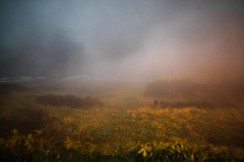 © Yongwook Lee - Absence, dissolved into the grain of the void