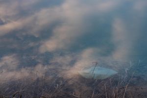 Vanishing Beyond the Boundary
