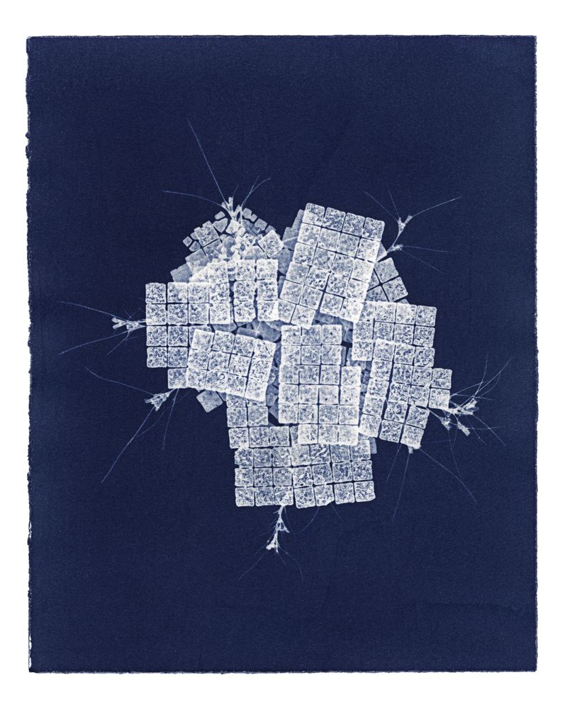 © Kate Robertson - Image from the Speculative Cyanotype Impressions photography project