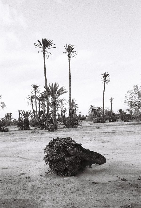 © Julia Ammor - Image from the Inland Archipelago photography project