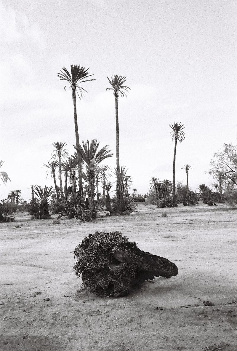 © Julia Ammor - Image from the Inland Archipelago photography project