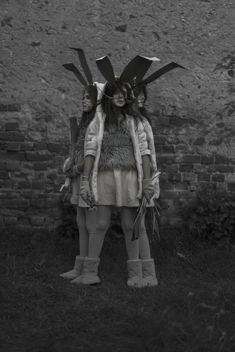 © Dragos Coman - Tripple Easter Bunny