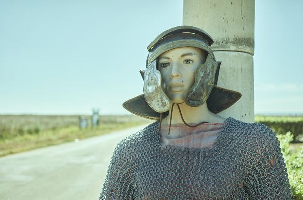 © Dragos Coman - Image from the Permanent Creatures photography project