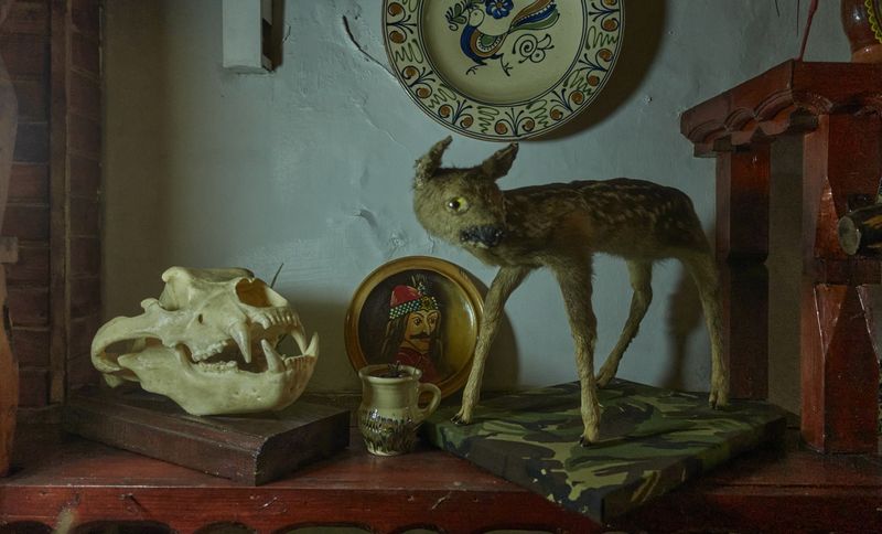 © Dragos Coman - Image from the Permanent Creatures photography project