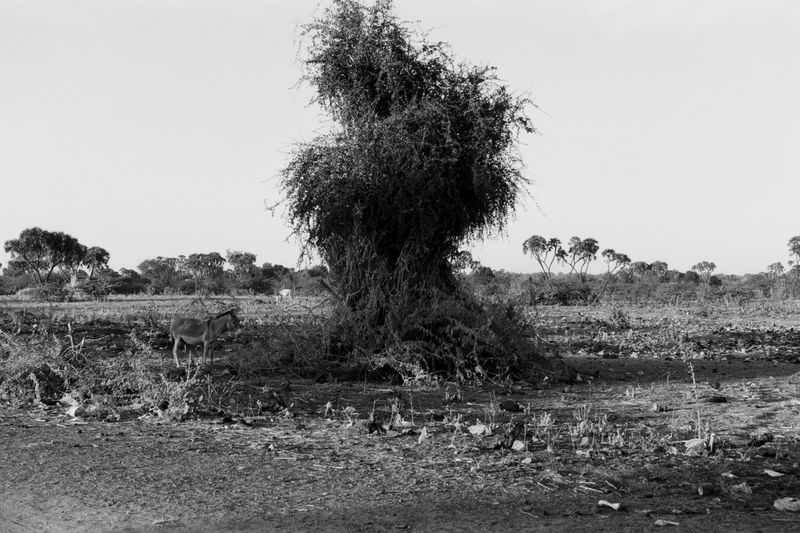 © Dragos Coman - Image from the Dust and Shade photography project