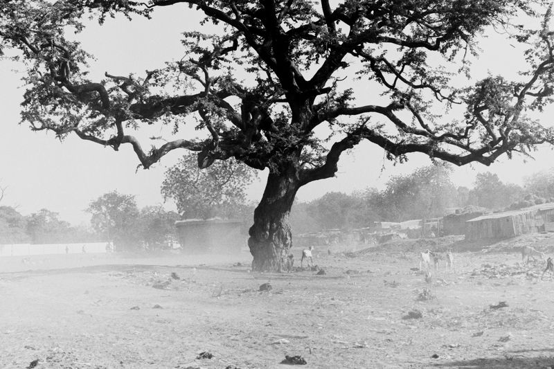 © Dragos Coman - Image from the Dust and Shade photography project