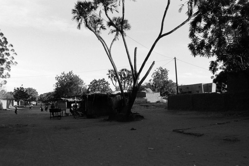 © Dragos Coman - Image from the Dust and Shade photography project