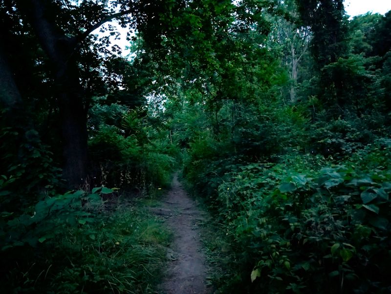 © Chris Garcia - Image from the Manifestation photography project