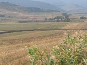 The Soil and the Song